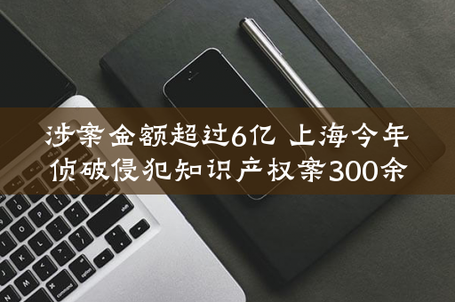 涉案金额超过6亿 上海今年侦破侵犯知识产权案300余起